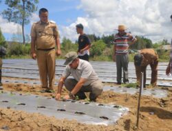 Bupati Taput Dorong BUMDes Sisordak Jadi Pemasok Program Makan Bergizi Gratis ‎