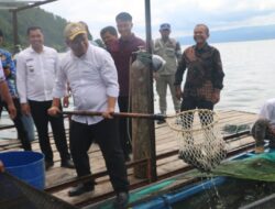 Pemkab Tapanuli Utara Apresiasi Keberhasilan Ketahanan Pangan Desa Hutalontung ‎
