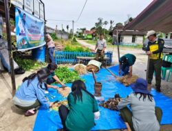 Dinas Pertanian Taput Gelar Pelatihan Agens Hayati, Petani Dibekali Teknologi Pertanian Ramah Lingkungan
