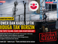 Tower dan Kabel Optik Menjamur di Taput, PAD Jangan Sampai Hanya Jadi Penonton